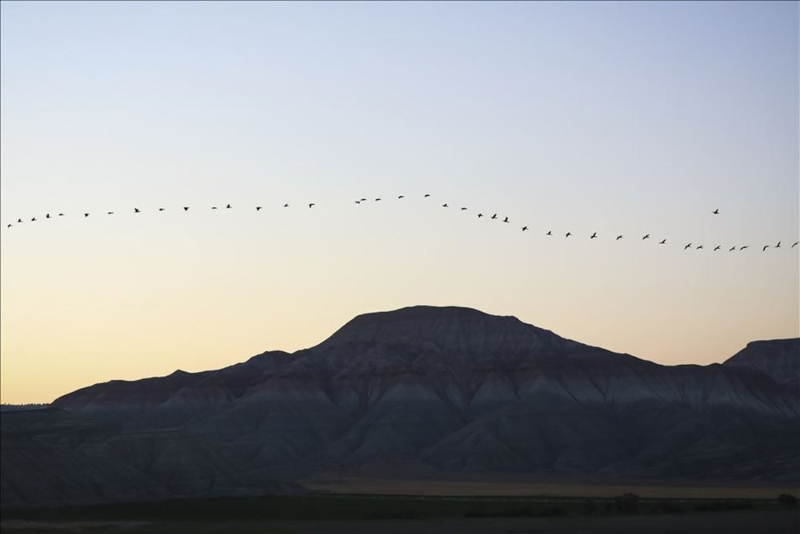 Haftanın fotoğrafları (28 Ağustos-4 Eylül 2020)