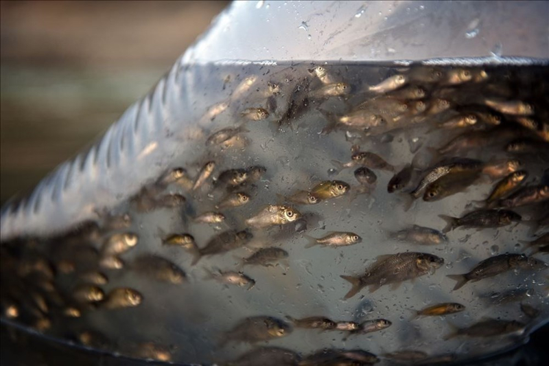 Haftanın fotoğrafları (28 Ağustos-4 Eylül 2020)