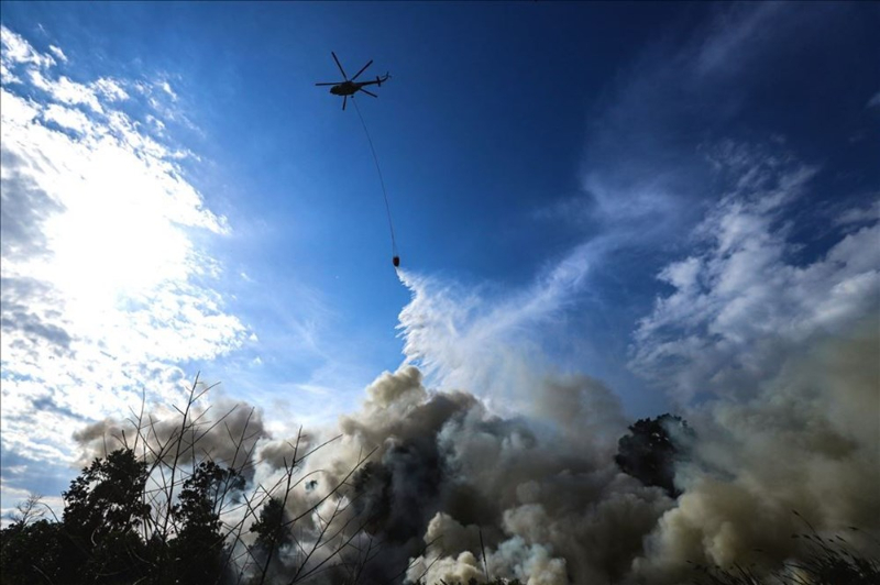 Haftanın fotoğrafları (28 Ağustos-4 Eylül 2020)