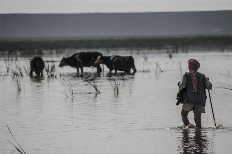 Haftanın fotoğrafları (28 Ağustos-4 Eylül 2020)