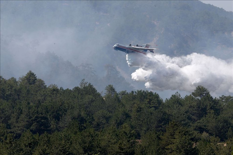 Haftanın fotoğrafları (28 Ağustos-4 Eylül 2020)