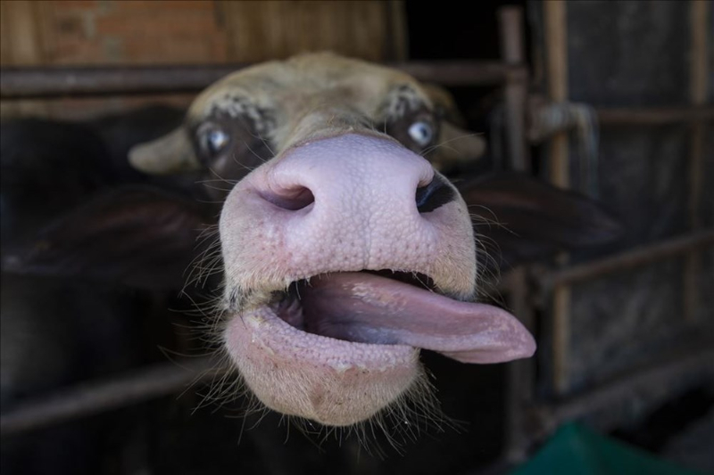 Haftanın fotoğrafları (28 Ağustos-4 Eylül 2020)