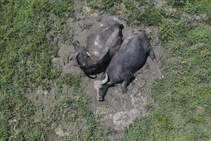 Haftanın fotoğrafları (28 Ağustos-4 Eylül 2020)