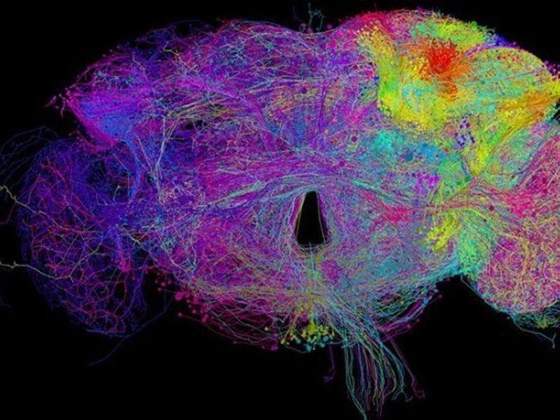 2020'ye damga vuran 20 gelişme (Bilim ve teknoloji dünyasında neler yaşandı?)