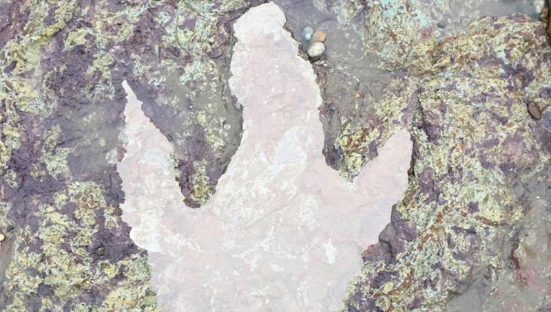 2020'ye damga vuran 20 gelişme (Bilim ve teknoloji dünyasında neler yaşandı?)