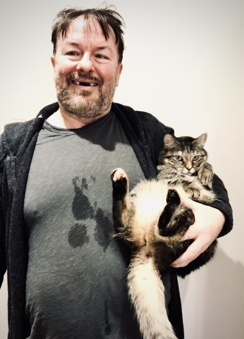 Sosyal medyada ünlüler: Dua Lipa tatilde Kristen Bell sporda