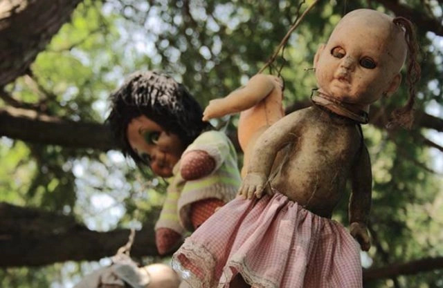 Görenleri hayrete düşüren dünyanın en ilginç görüntüsüne sahip 10 ada!