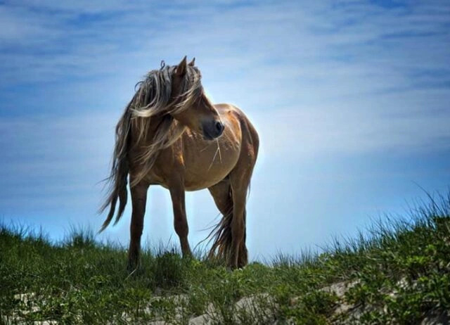 Görenleri hayrete düşüren dünyanın en ilginç görüntüsüne sahip 10 ada!