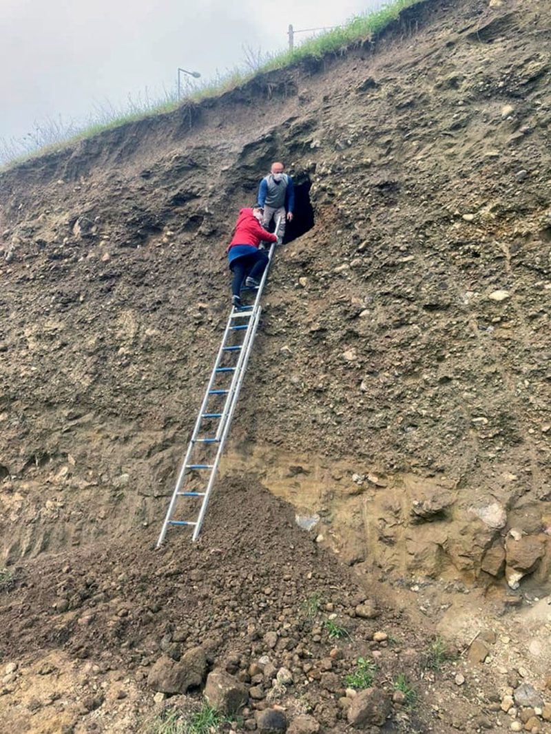 Magazin ve sanat turu (14 Nisan 2021)