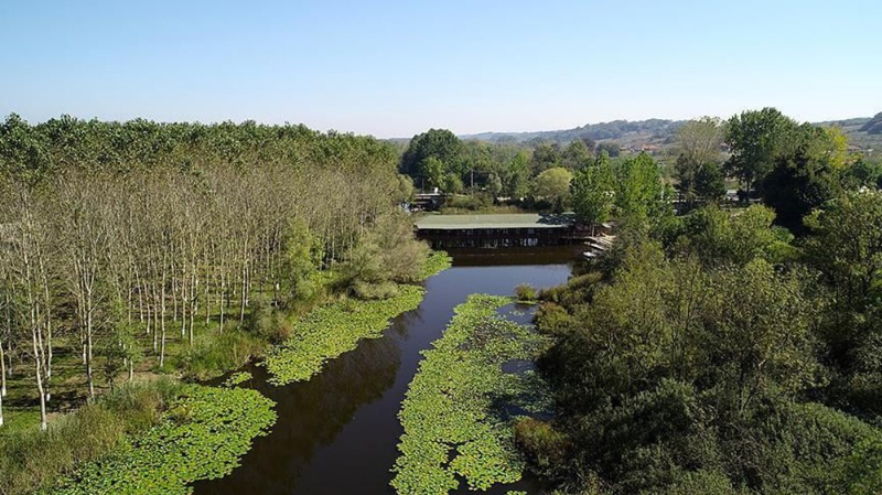 Dünyada ikinci, Türkiye'de ise tek parça halindeki en büyük longoz: Sakarya Acarlar Longozu