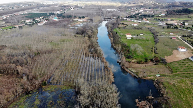 Dünyada ikinci, Türkiye'de ise tek parça halindeki en büyük longoz: Sakarya Acarlar Longozu
