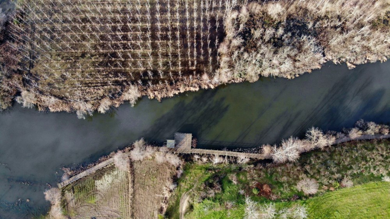 Dünyada ikinci, Türkiye'de ise tek parça halindeki en büyük longoz: Sakarya Acarlar Longozu