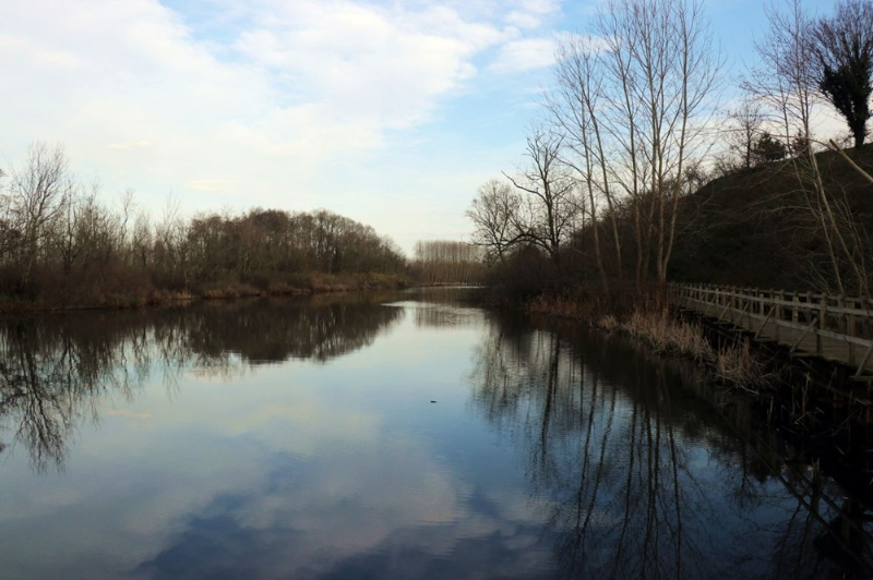 Dünyada ikinci, Türkiye'de ise tek parça halindeki en büyük longoz: Sakarya Acarlar Longozu