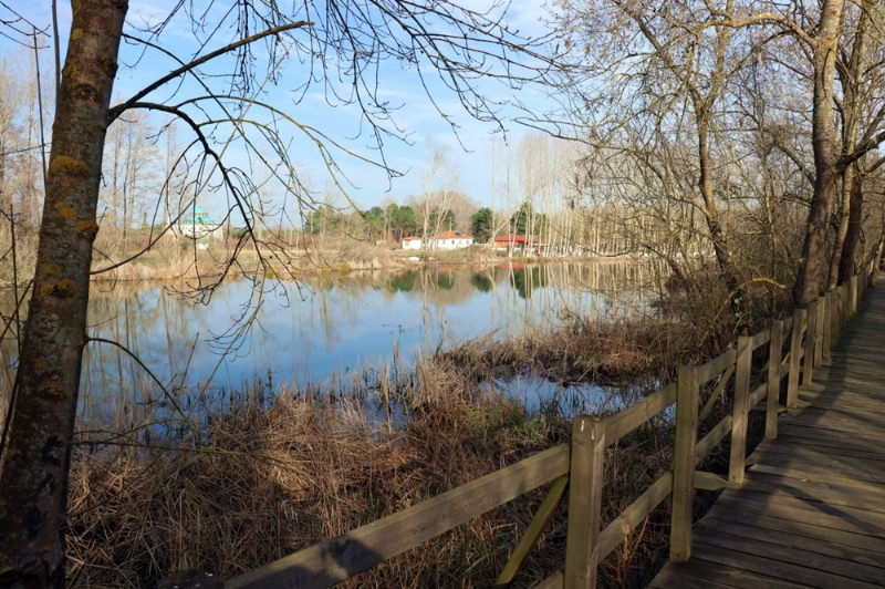 Dünyada ikinci, Türkiye'de ise tek parça halindeki en büyük longoz: Sakarya Acarlar Longozu