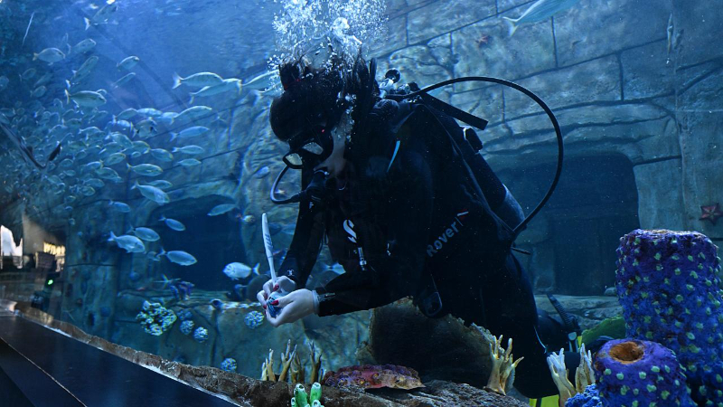 Trabzon Akvaryum'u ziyaretçiler en fazla balıkların beslenme saatlerinde geziyor