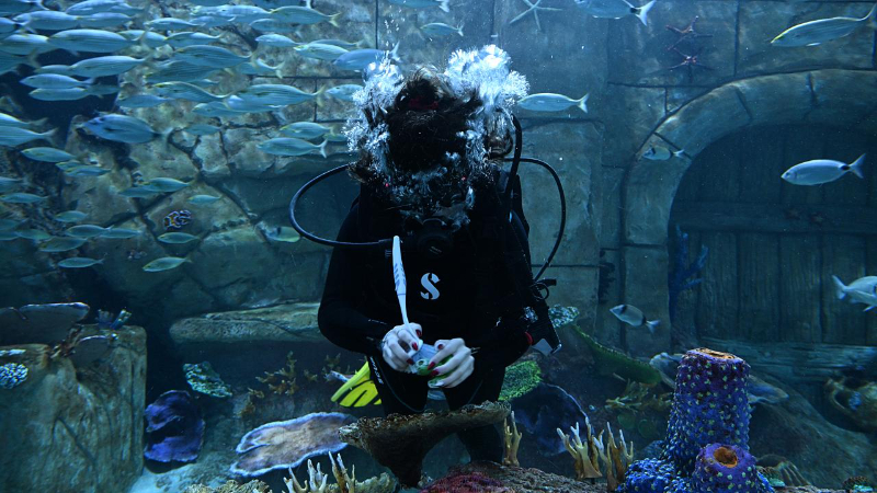 Trabzon Akvaryum'u ziyaretçiler en fazla balıkların beslenme saatlerinde geziyor