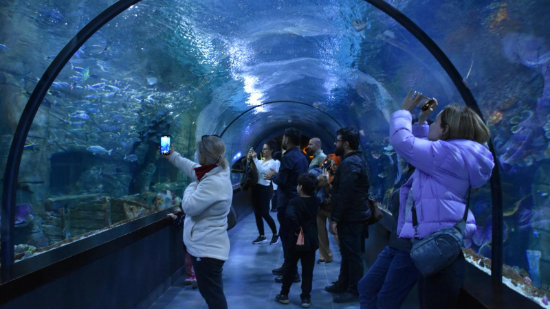Trabzon Akvaryum'u ziyaretçiler en fazla balıkların beslenme saatlerinde geziyor