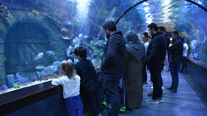 Trabzon Akvaryum'u ziyaretçiler en fazla balıkların beslenme saatlerinde geziyor