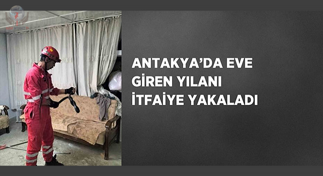Antakya’da eve giren yılanı itfaiye yakaladı