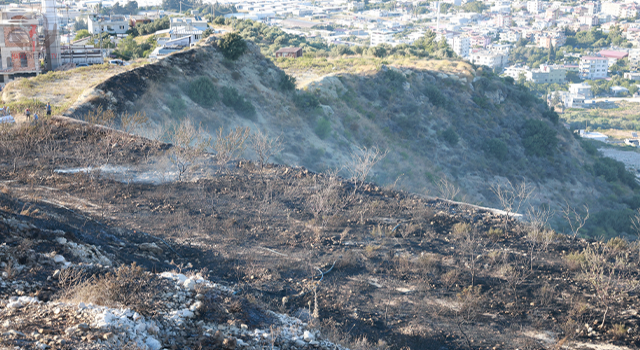 Antakya’da otluk alanda çıkan yangın büyümeden söndürüldü