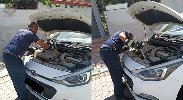 Araç motoruna sıkışan kediyi itfaiye kurtardı