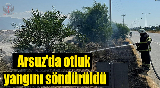 Arsuz'da çıkan ot yangınını itfaiye ekipleri söndürdü