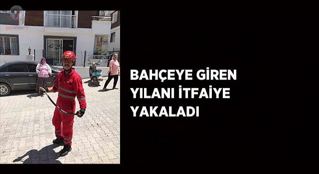 Bahçeye giren yılanı itfaiye yakaladı