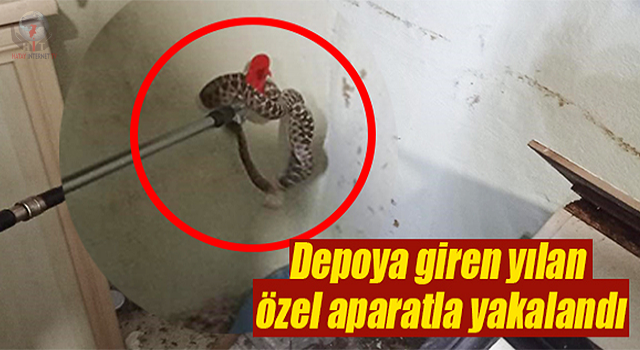 Depoya giren yılan özel aparatla yakalandı