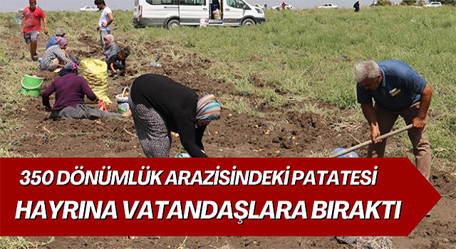 Depremzede çiftçi 350 dönümlük arazisindeki patatesi hayrına vatandaşlara bıraktı