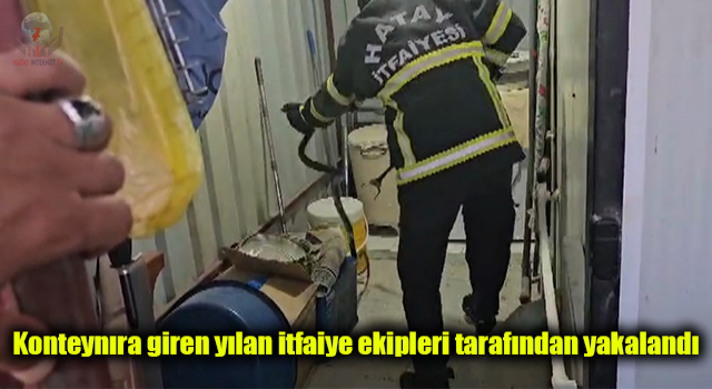Depremzedelerin yaşadığı konteynıra giren yılan itfaiye ekipleri tarafından yakalandı
