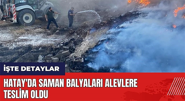  Hassa’da saman balyaları alevlere teslim oldu
