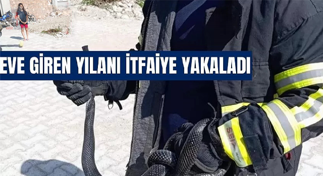Samandağda eve giren yılanı itfaiye yakaladı