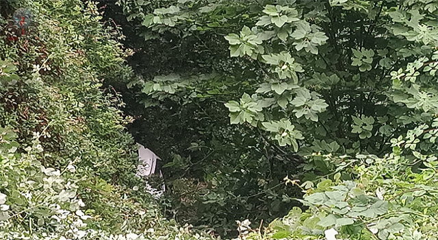 Yayla yolunda uçurumdan uçan araçtaki 2 kişi yaralandı