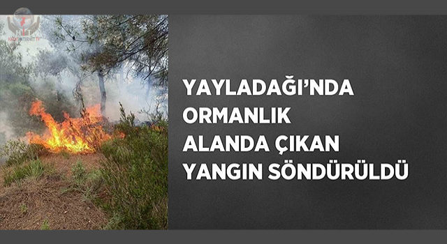 Yayladağı’nda orman yangını