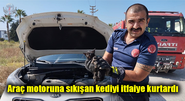 Araç motoruna sıkışan kediyi itfaiye kurtardı
