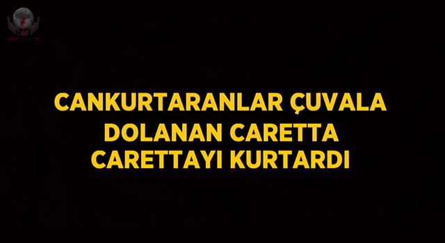 Cankurtaranlar çuvala dolanan caretta carettayı kurtardı