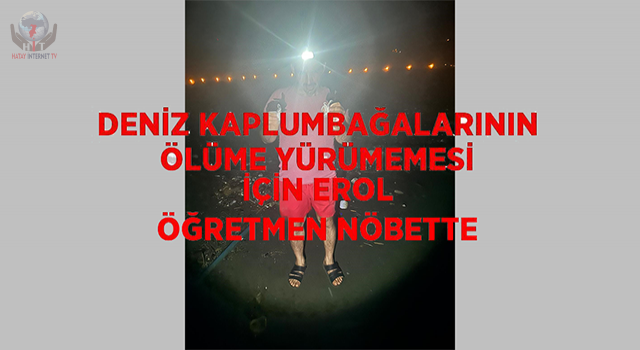 Deniz kaplumbağalarının ölüme yürümemesi için Erol öğretmen nöbette