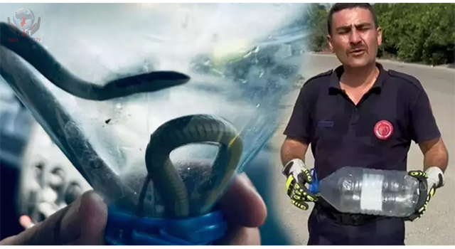 Evde yakalanan yılan doğaya bırakıldı