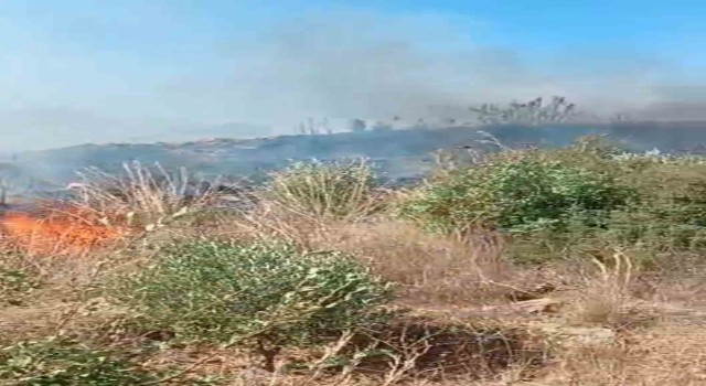 Gazipaşada bahçede çıkan yangın ekiplerinin müdahalesiyle söndürüldü