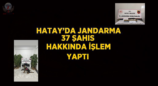 Hatay’da jandarma 37 şahıs hakkında işlem yaptı