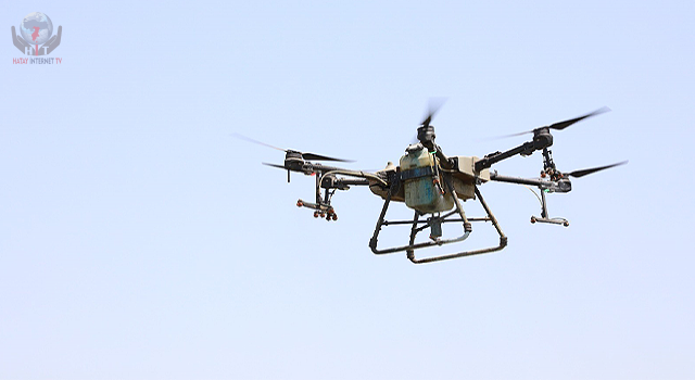 Hatay'da sinek ve haşerelere karşı 229 hektar alan dron ile ilaçlandı