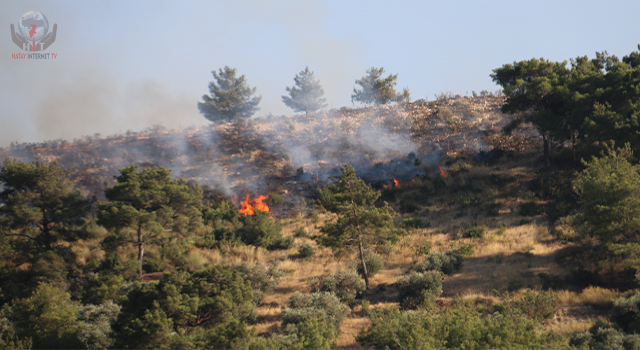 Hatay'daki orman yangınına havadan helikopterler ve uçakla müdahale ediliyor