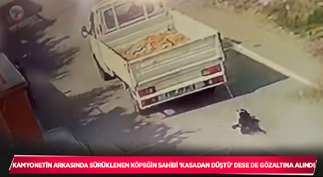 Kamyonetin arkasında sürüklenen köpeğin sahibi 'kasadan düştü' dese de gözaltına alındı