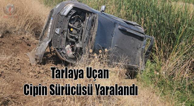 Tarlaya uçan cipin sürücüsü yaralandı