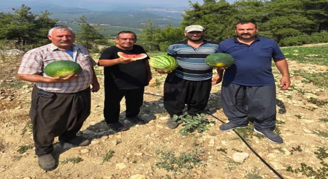 Tarsusta yerli tohuma ve üretime dönüş için çağrı