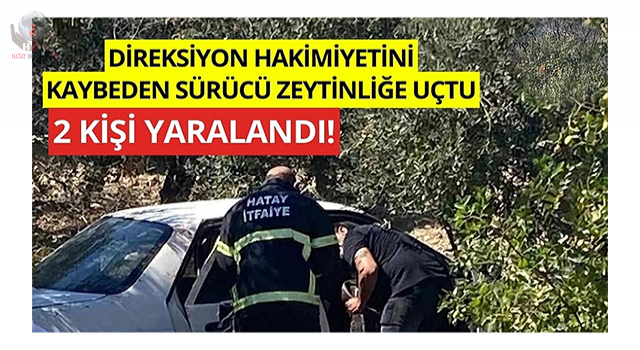Zeytinliğe uçan otomobildeki 2 kişi yaralandı