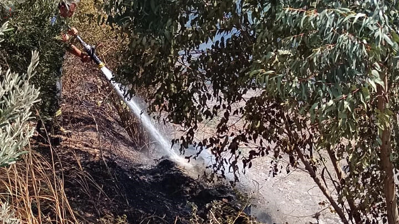 Antakyada zeytinlik yangını