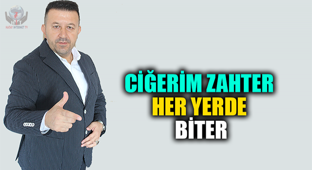 CİĞERİM ZAHTER HER YERDE BİTER