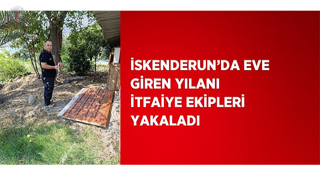 İskenderunda eve giren yılanı itfaiye ekipleri yakaladı