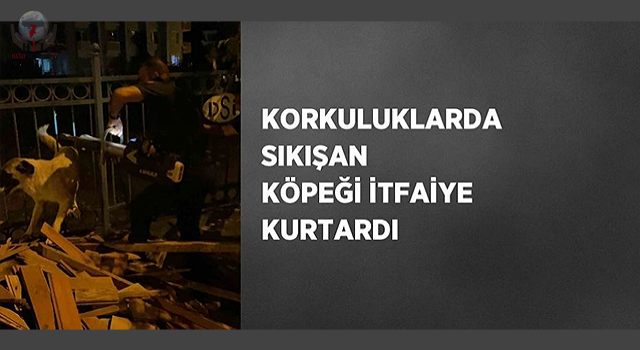 Korkuluklarda sıkışan köpeği itfaiye kurtardı